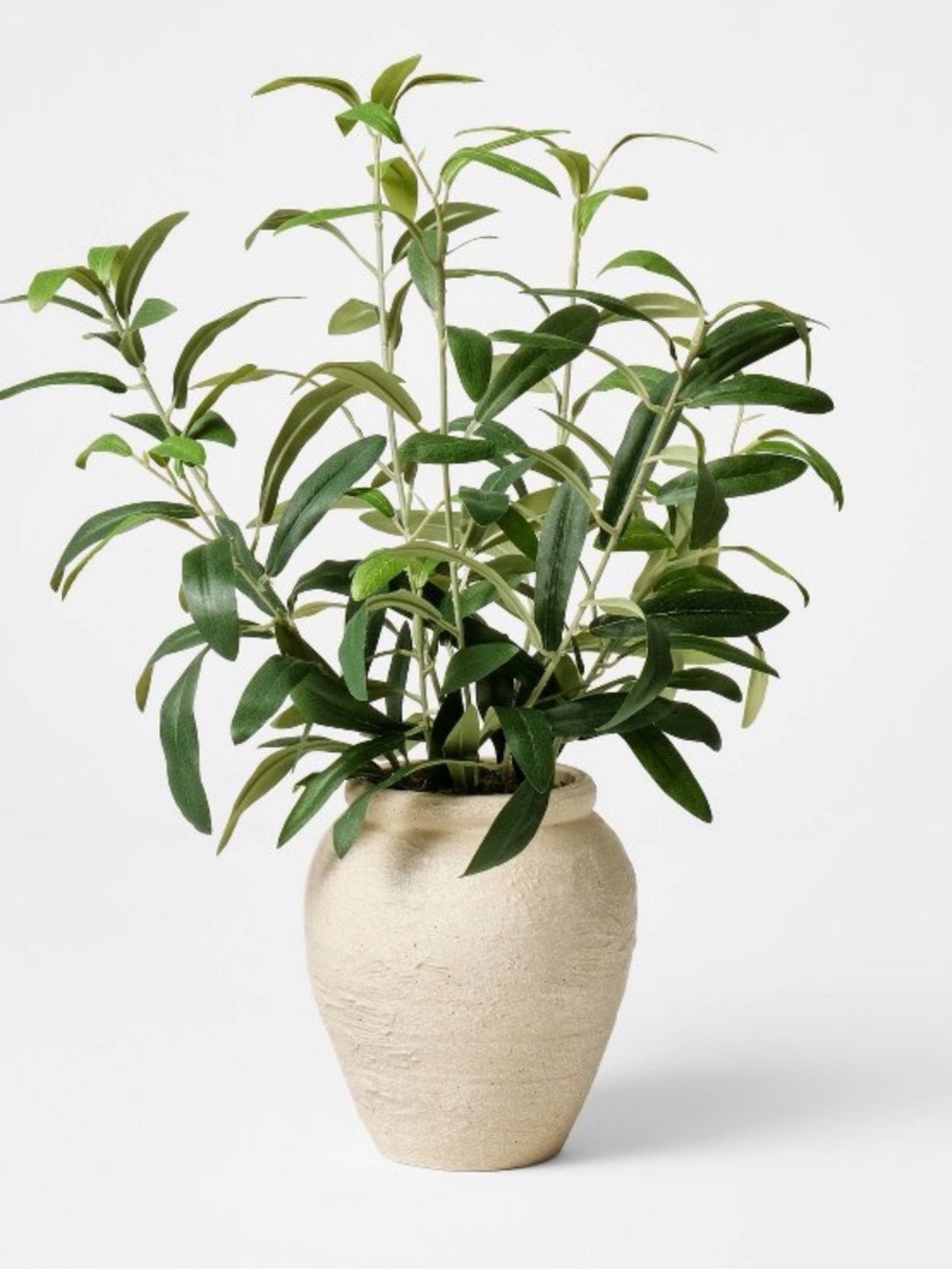 Olive Leaf Arrangement - Threshold™ designed with Studio McGee NWT